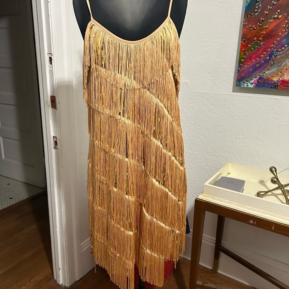 Fringe Flapper Dress in Gold